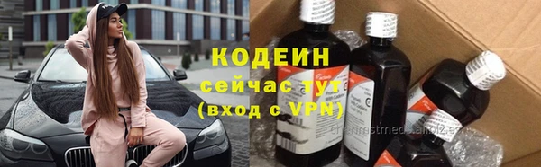 твердый Новодвинск