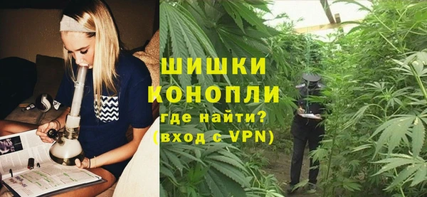 твердый Новодвинск