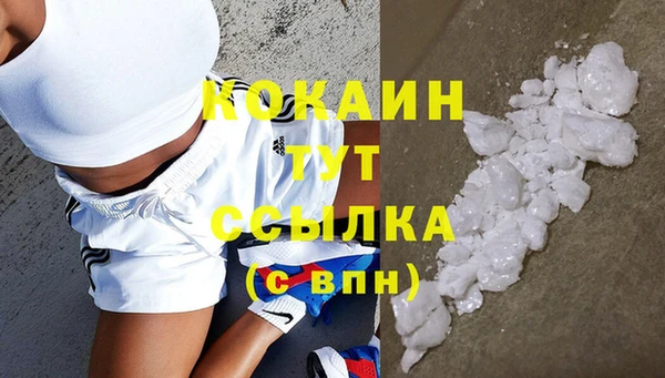 твердый Новодвинск