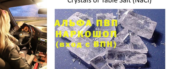 твердый Новодвинск
