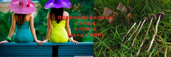 твердый Новодвинск